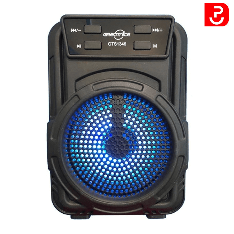 اسپیکر گریت نایس GTS 1346 با چراغ LED