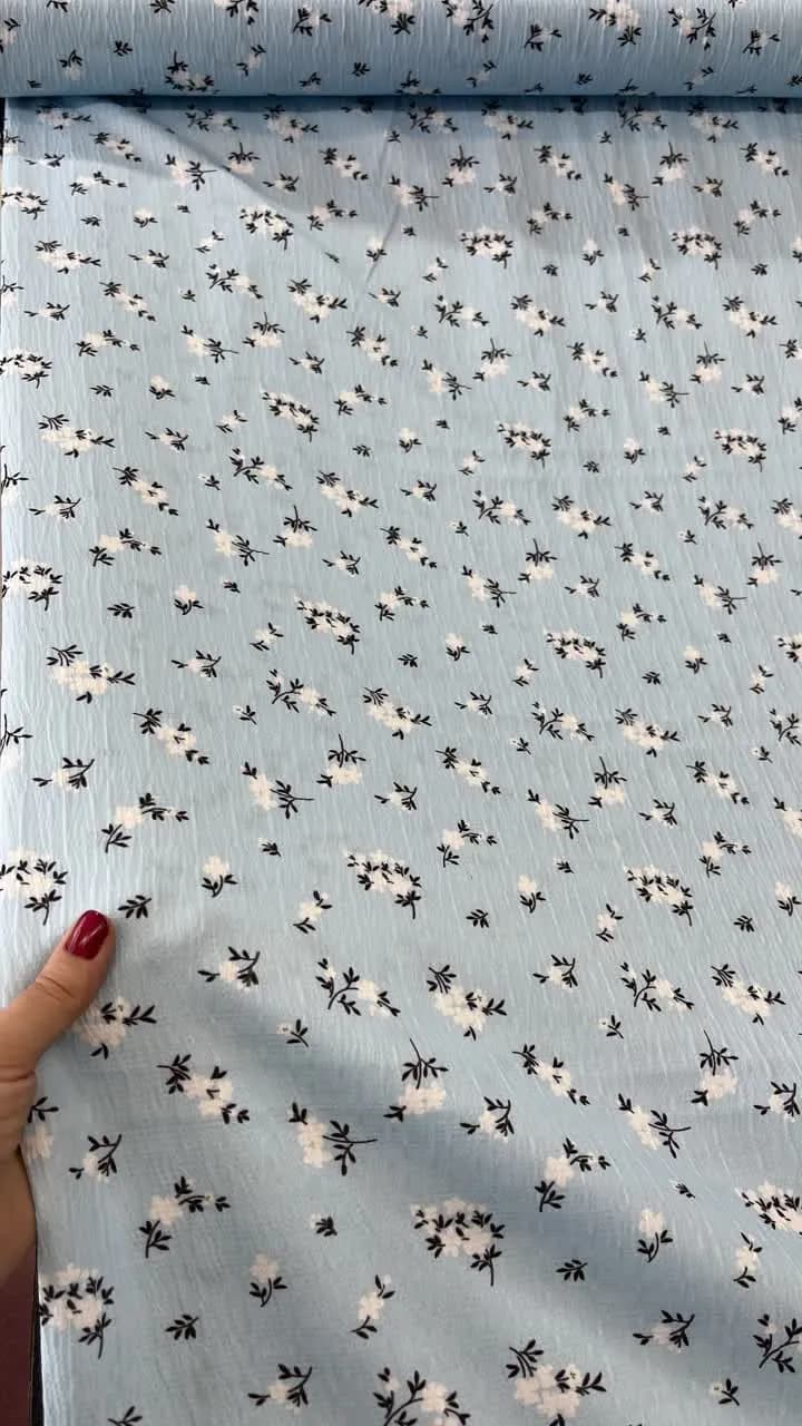 آیوا گل گچی — تصویر ۵
