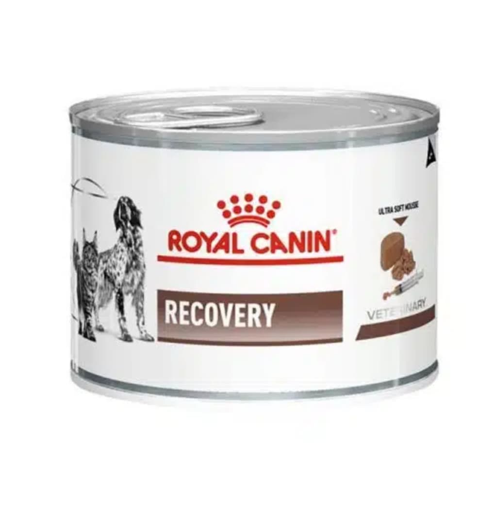 کنسرو ریکاوری رویال کنین سگ و گربه ۱۹۵ گرم Royal Canin Recovery Wet Food — تصویر ۲