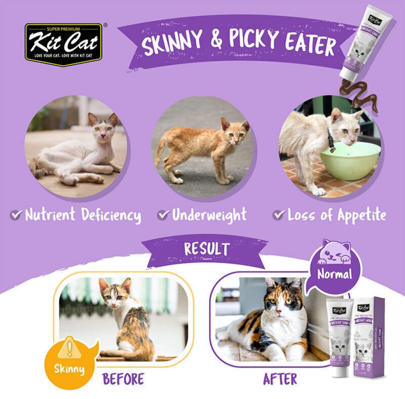 خمیر مکمل افزایش وزن گربه کیتکت Kit Cat Weight Gain Daily Supplement Gel | وزن ۱۲۰ گرم — تصویر ۳