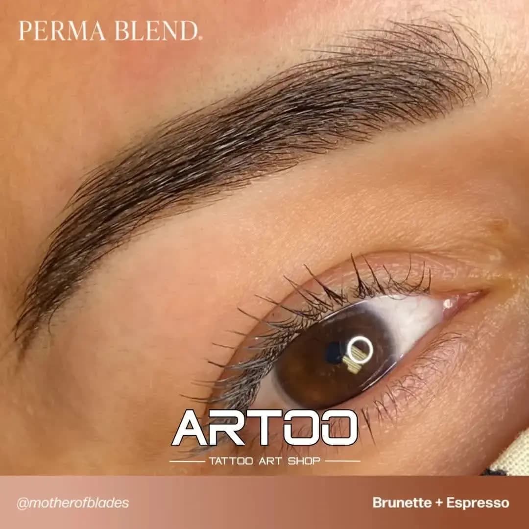 رنگ تتو پرمابلند اسپرسو PERMA BLEND Espresso — تصویر ۴