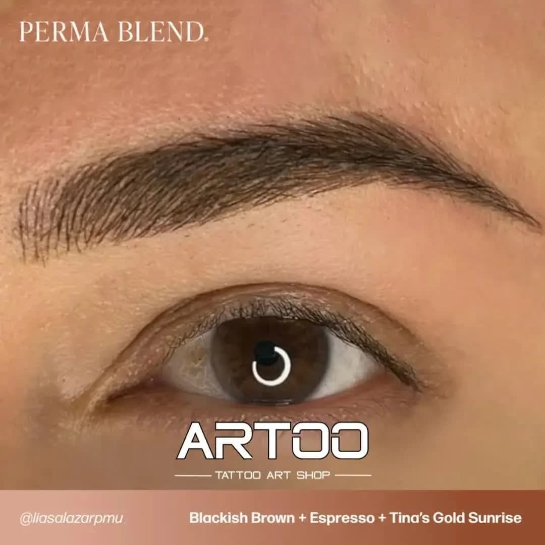 رنگ تتو پرمابلند اسپرسو PERMA BLEND Espresso — تصویر ۶