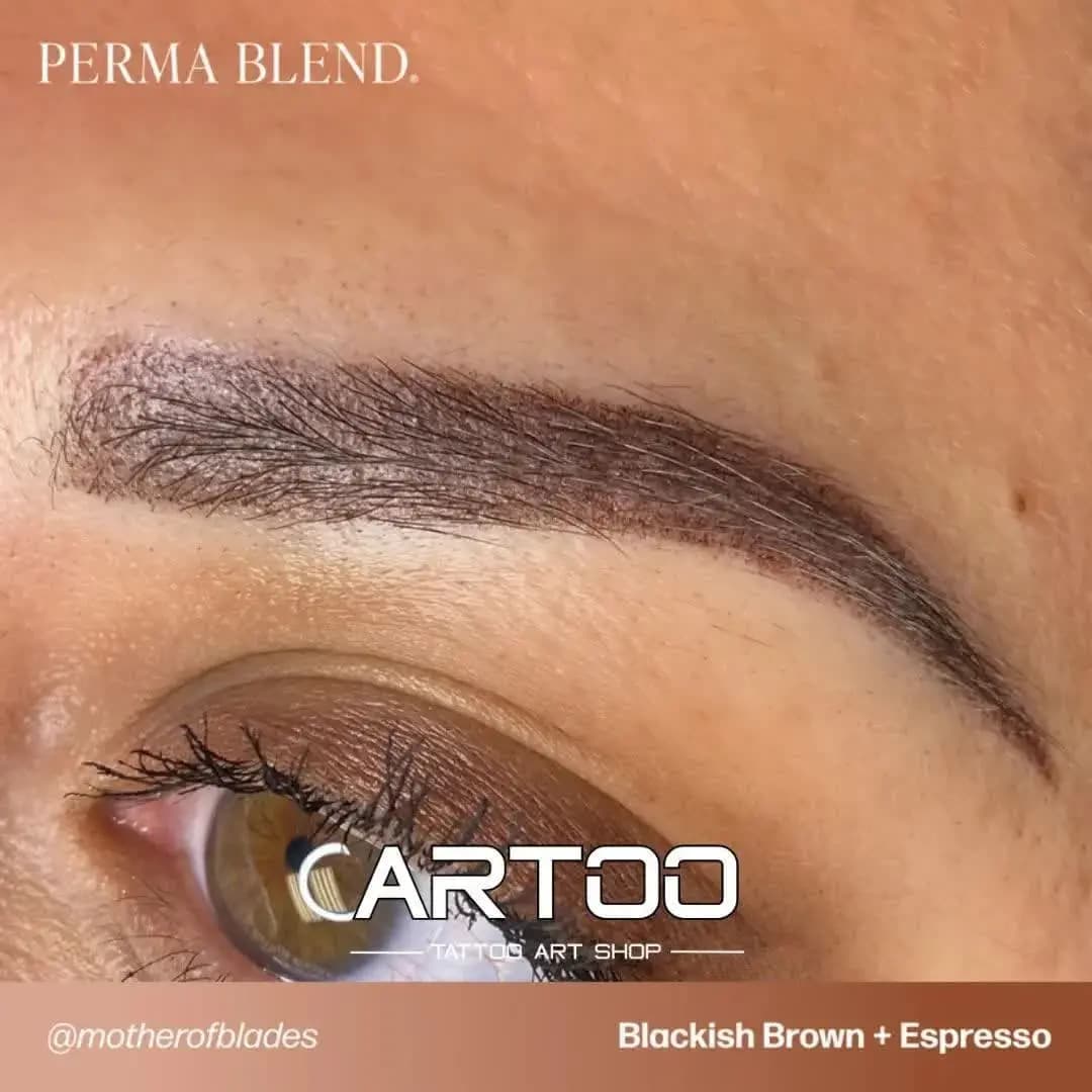 رنگ تتو پرمابلند اسپرسو PERMA BLEND Espresso — تصویر ۳