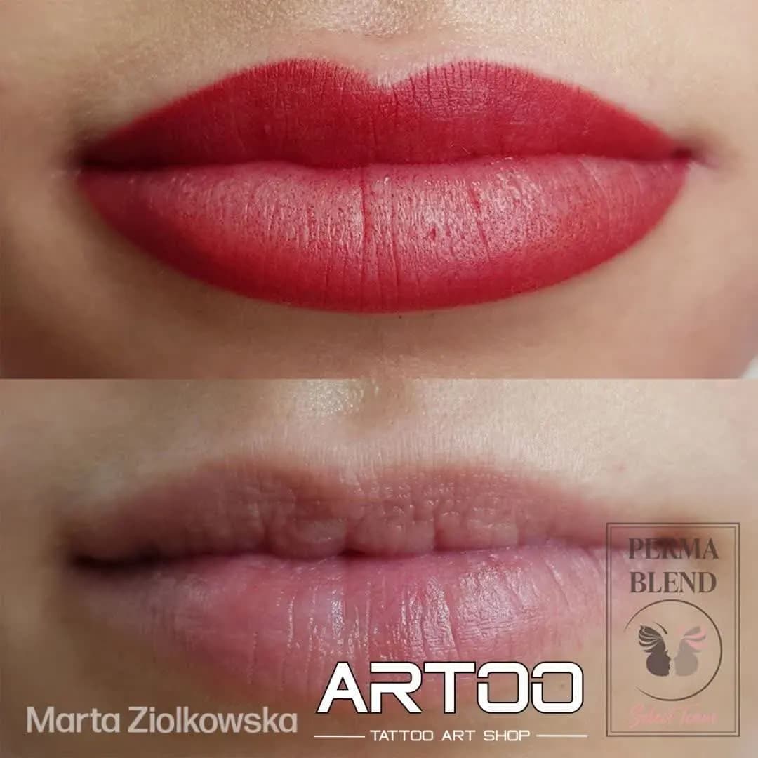 رنگ تتو پرمابلند رویال رد PERMA BLEND Royal Red — تصویر ۴