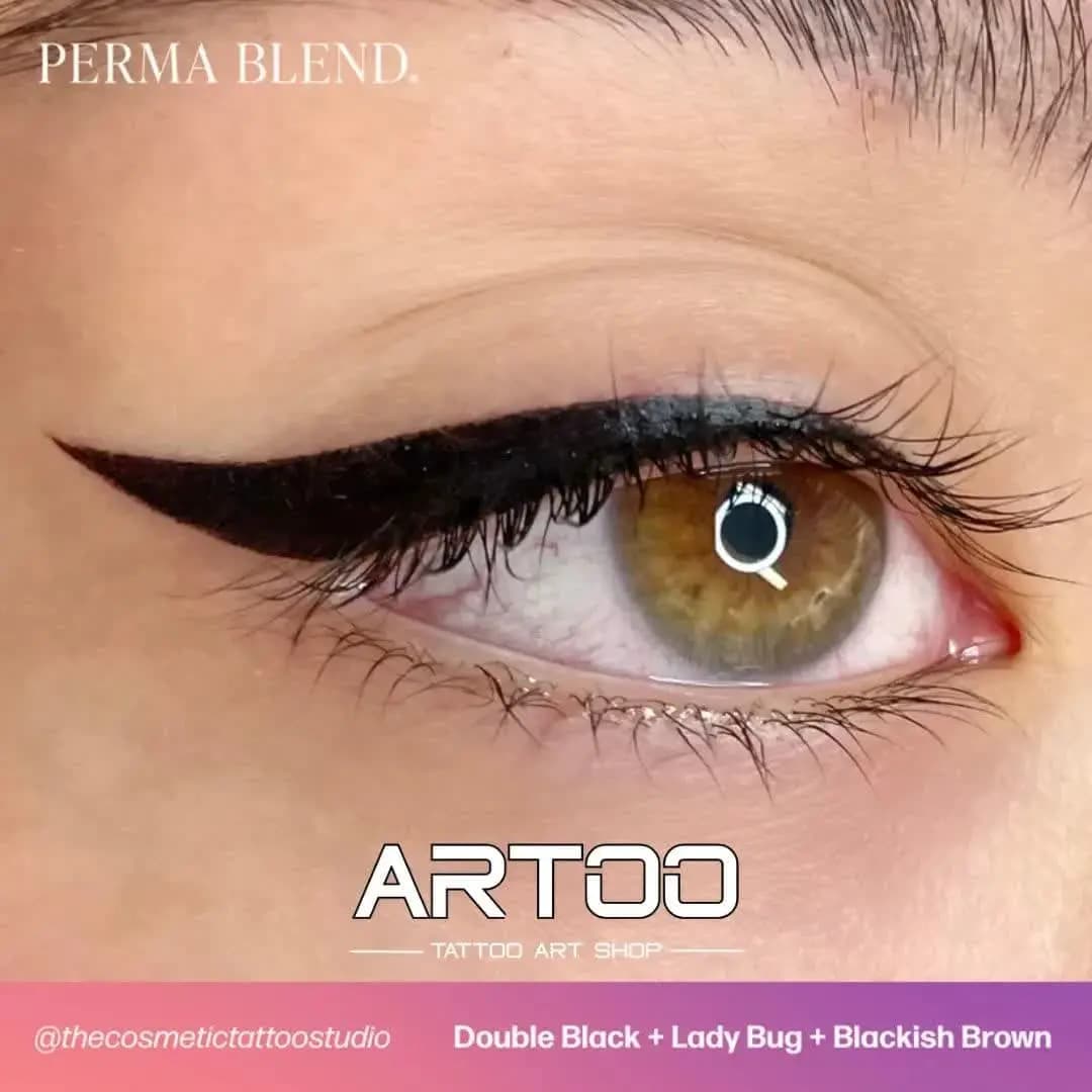 رنگ تتو پرمابلند لیدی باگ PERMA BLEND Lady Bug — تصویر ۴