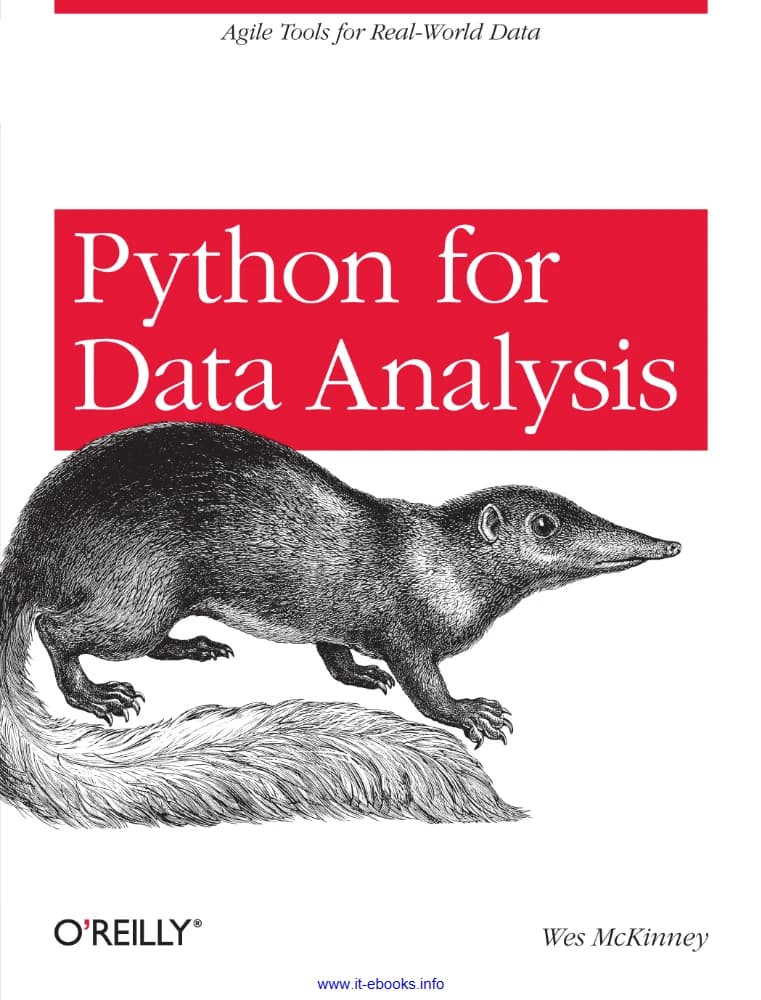 کتاب Python for Data Analysis (پایتون برای تحلیل داده) نسخه انگلیسی PDF | وس مک‌کینی