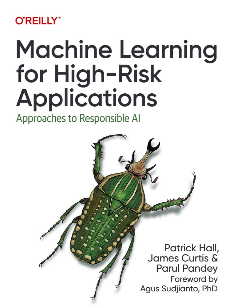 کتاب Machine Learning for High-Risk Applications (یادگیری ماشین برای کاربردهای پرریسک) نسخه انگلیسی PDF | پاتریک هال، جیمز کرتیس و پارول پاندی