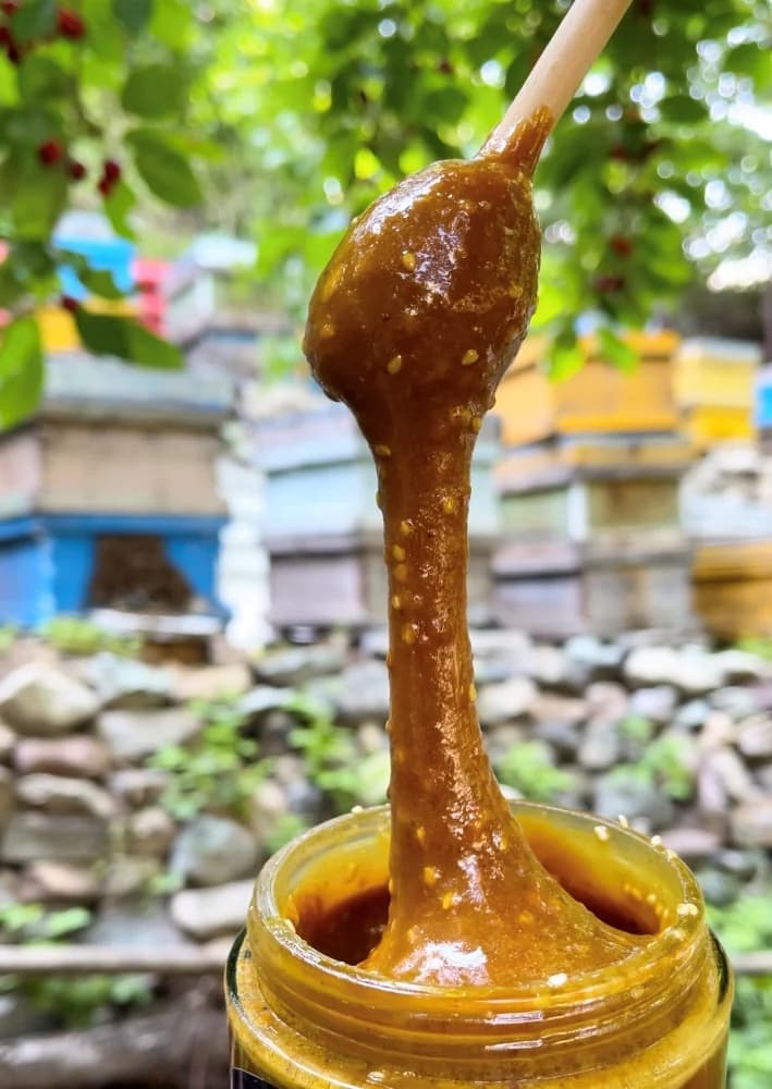 معجون ورزشی(750گرم) — تصویر ۲