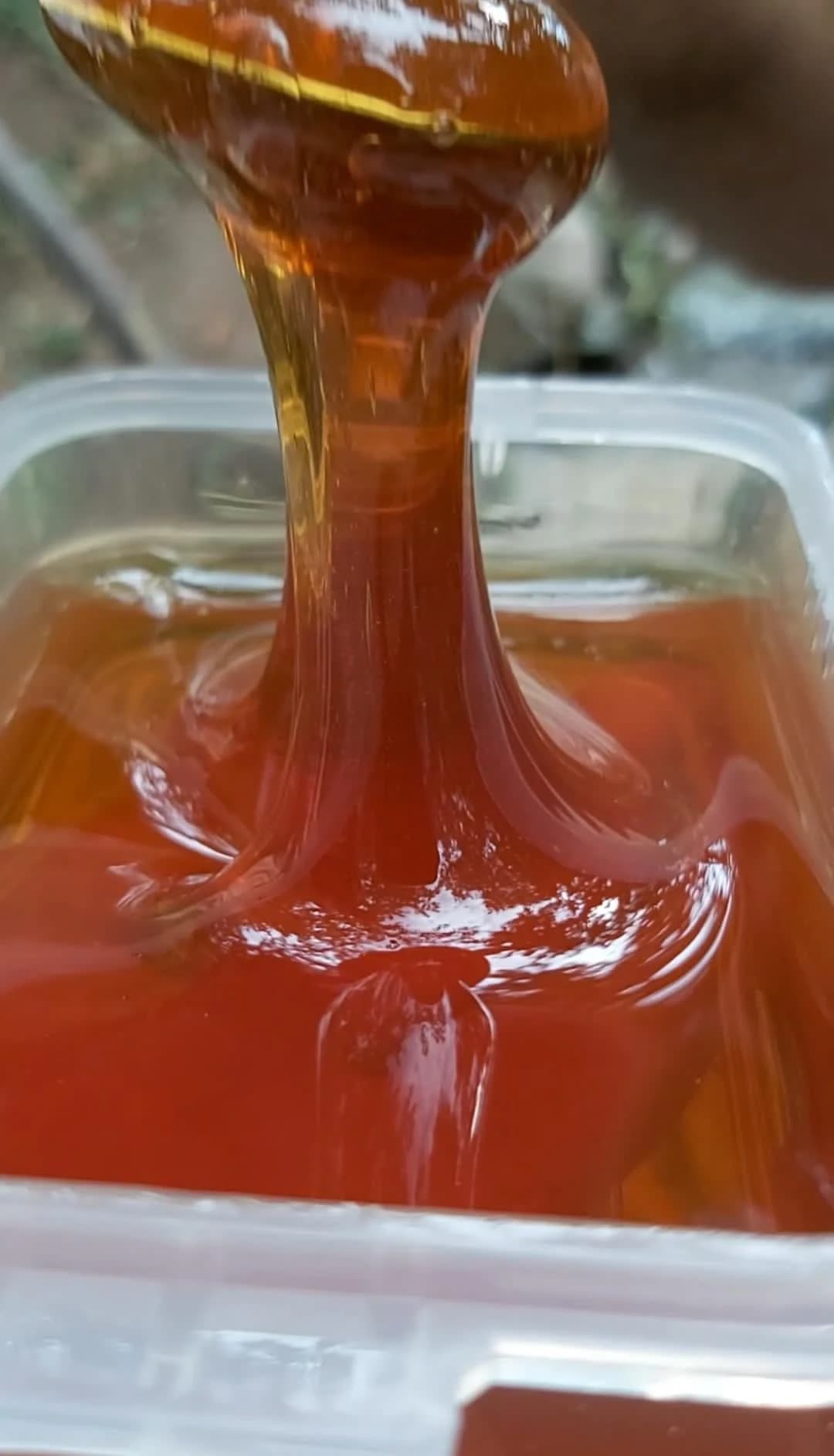 عسل آویشن(850گرم) — تصویر ۳