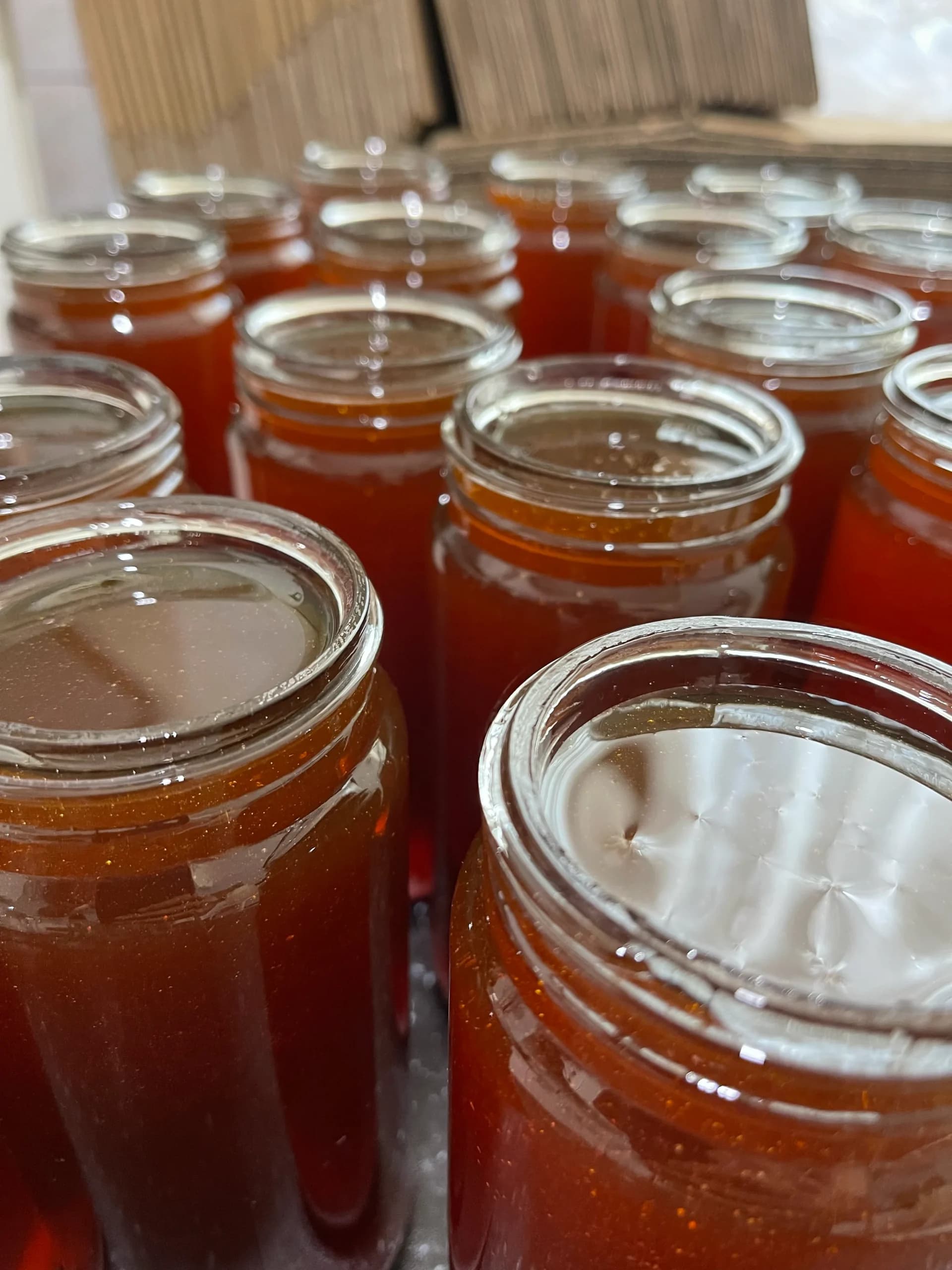 عسل آویشن(850گرم) — تصویر ۲