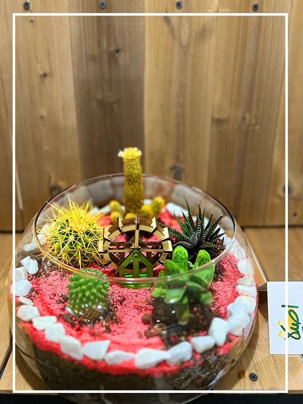 دیش گاردن شیشه ای بزرگ