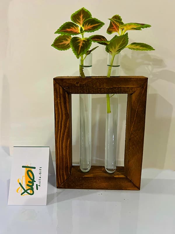 دکوری روناک 2 ( چوب و شیشه هیدروپونیک)