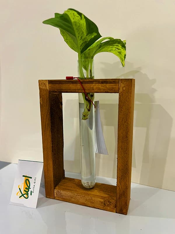 دکوری روناک 1 ( چوب و شیشه هیدروپونیک) — تصویر ۳