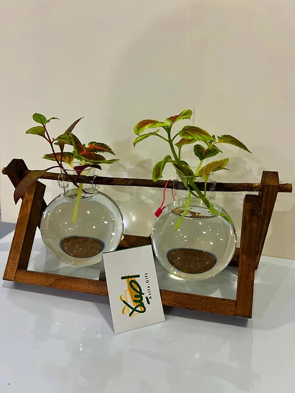دکوری آوند 2 ( چوب و شیشه هیدروپونیک) — تصویر ۲