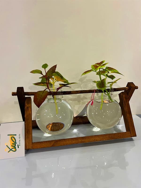 دکوری آوند 2 ( چوب و شیشه هیدروپونیک) — تصویر ۳
