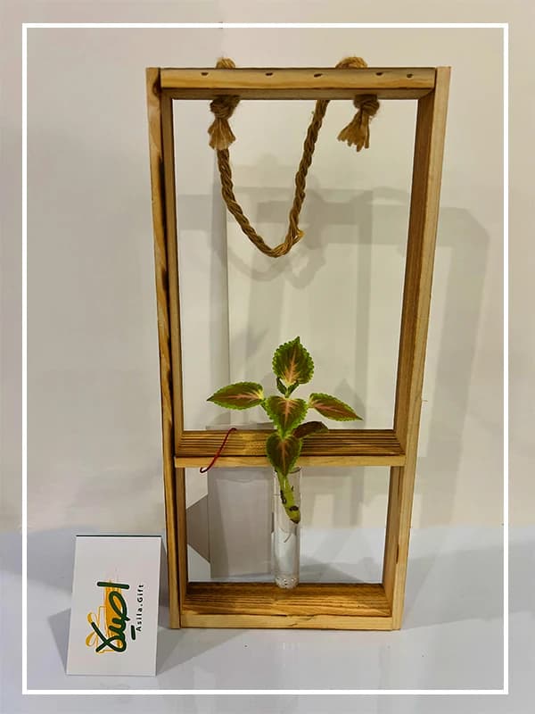 گلدان دکوری چوب و شیشه مرینوس