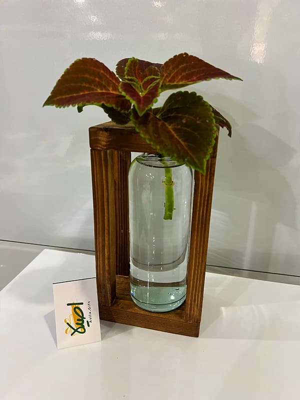 دکوری چوبی سپیدار ( چوب و شیشه هیدروپونیک) — تصویر ۳