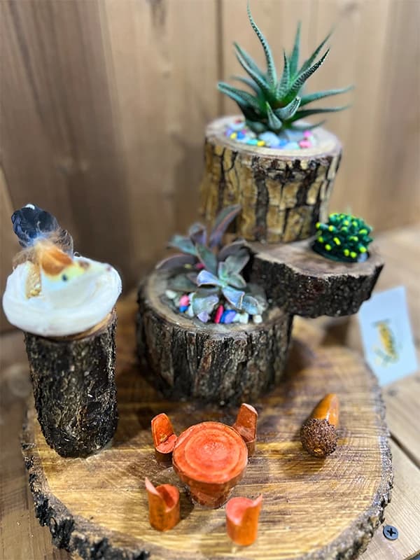 دیش‌گاردن پارک — تصویر ۳