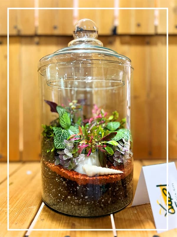 تراریوم استوانه ای بزرگ (قطر 15)