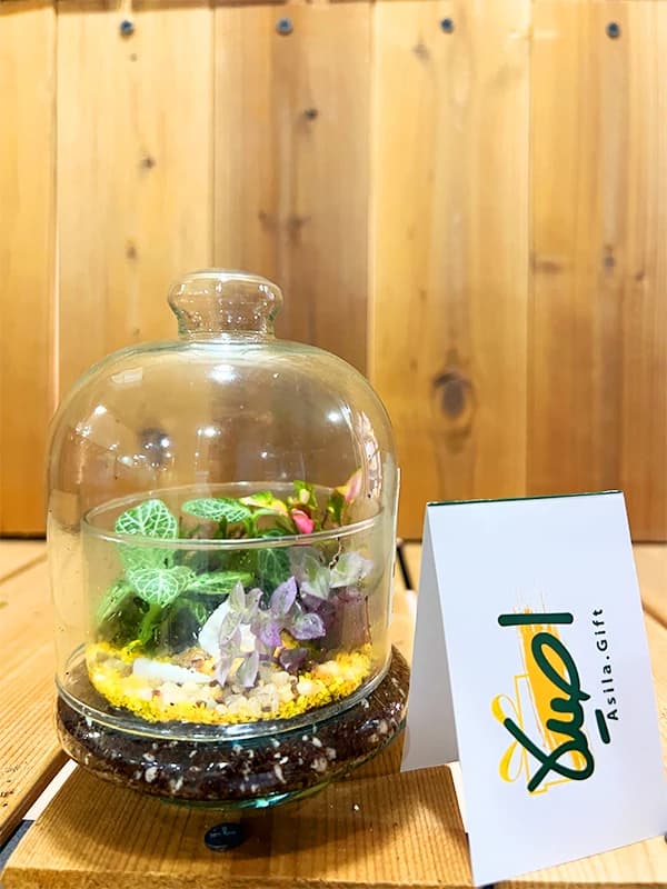 تراریوم عسل کوچک — تصویر ۳