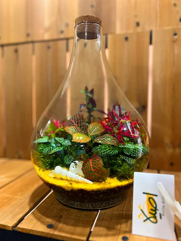 تراریوم طاووس بزرگ — تصویر ۲