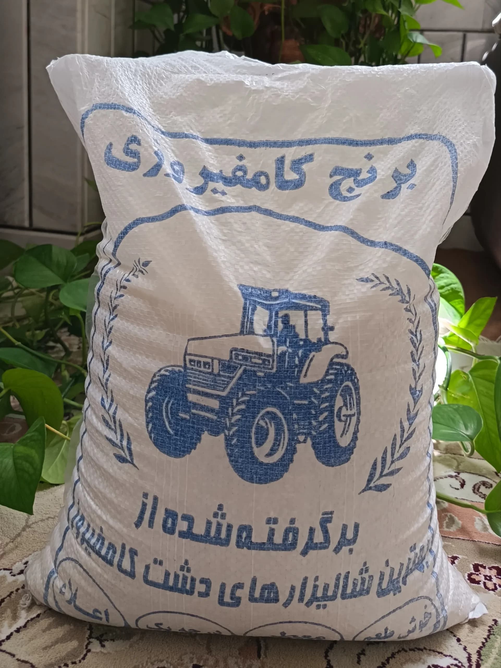 برنج کامفیروز