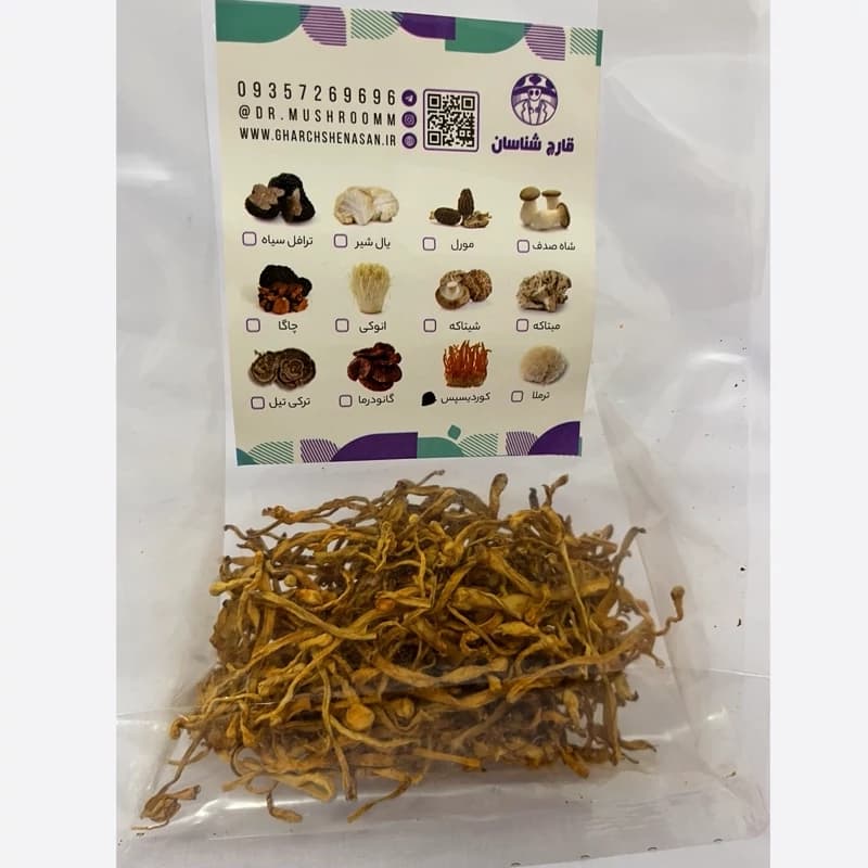 قارچ‌ کوردیسپس میلیتاریس 50 گرمی — تصویر ۳