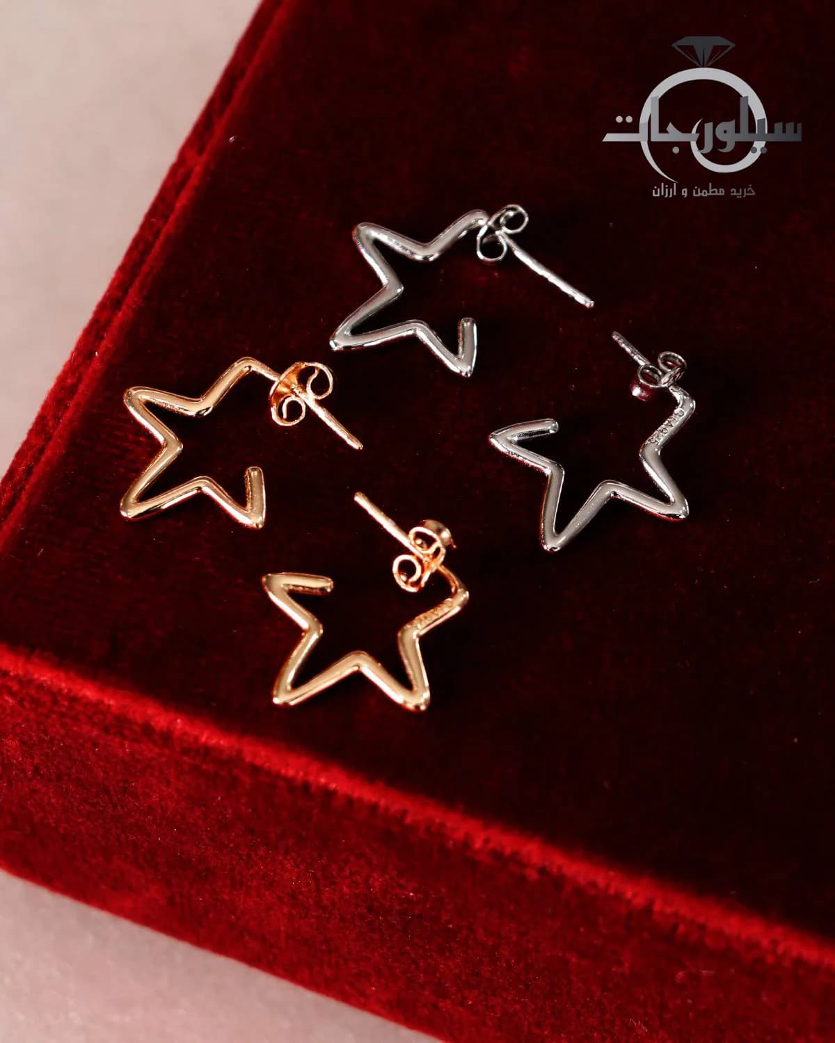 گوشواره نقره زنانه کد ER01012