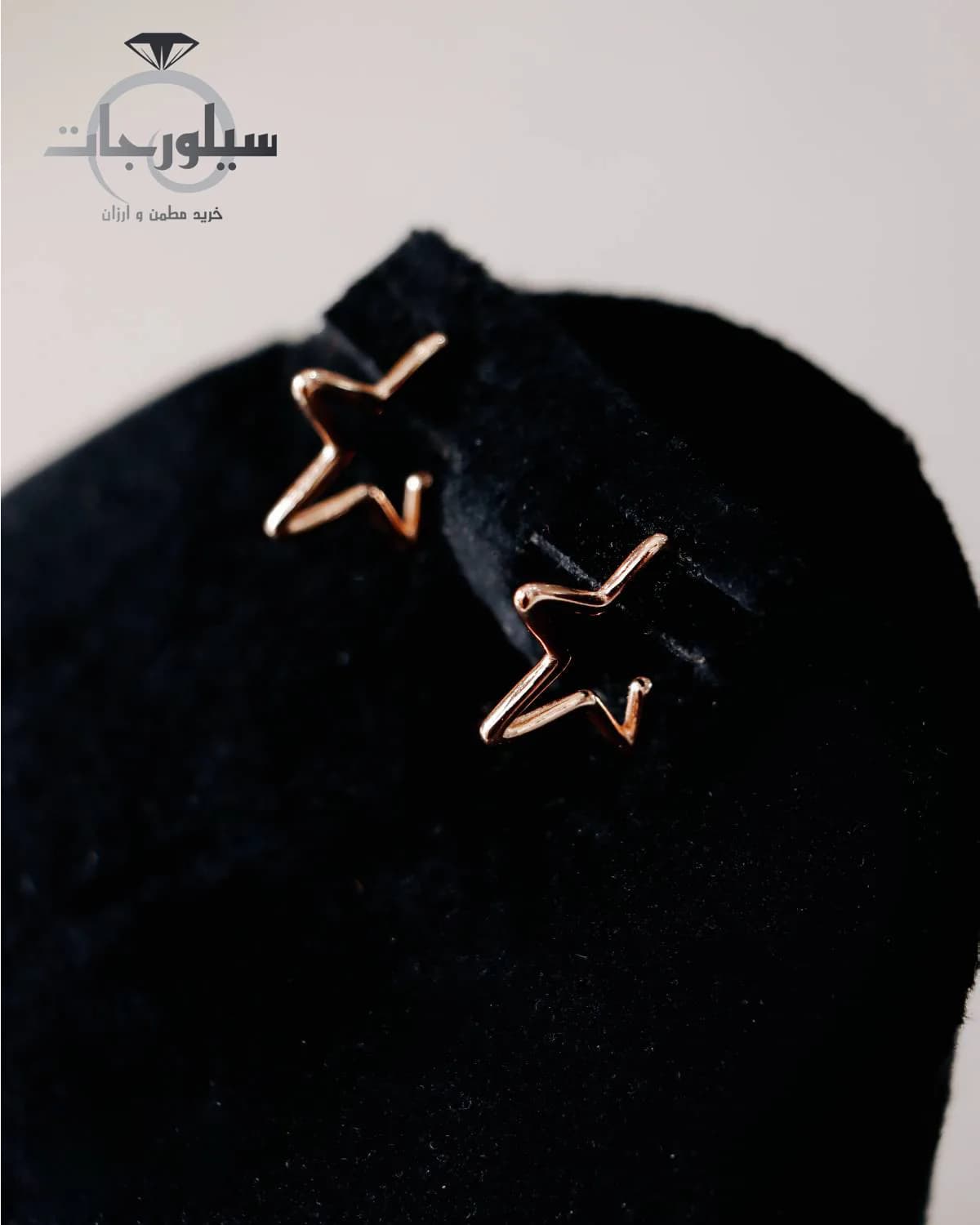 گوشواره نقره زنانه کد ER01012 — تصویر ۳