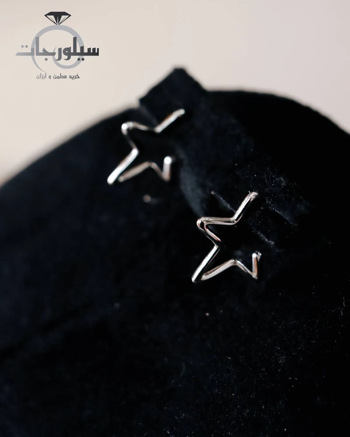 گوشواره نقره زنانه کد ER01012 — تصویر ۲