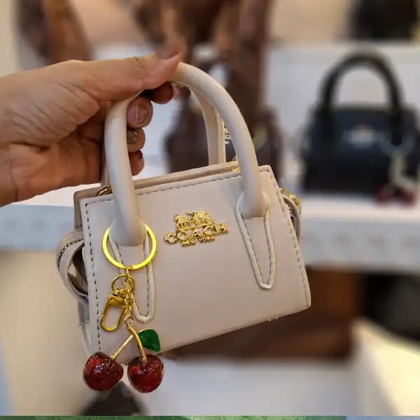 مینی بگ کوچ گیلاسی