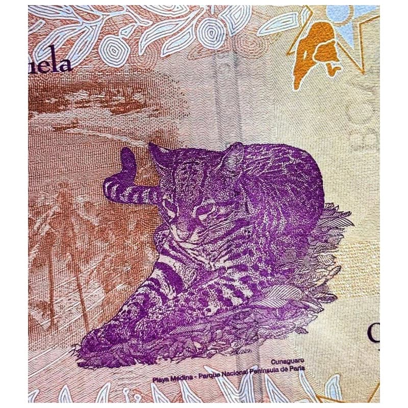اسکناس 50 بولیوار ونزوئلا 2018 — تصویر ۵