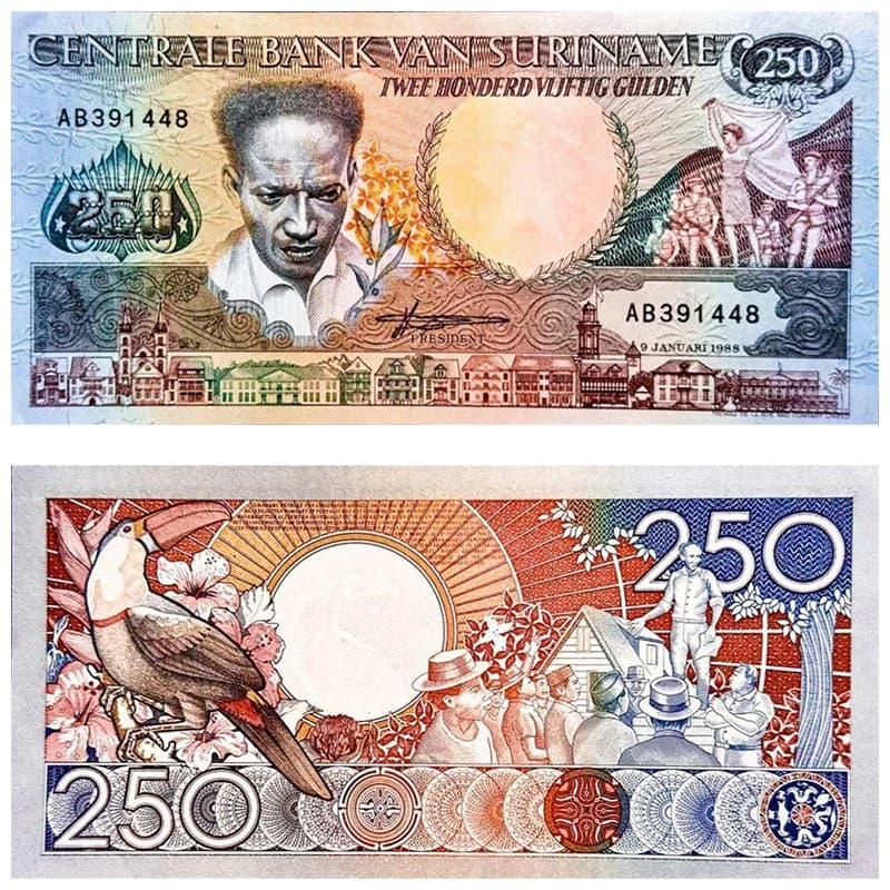 اسکناس 250 گیلدن سورینام 1988 — تصویر ۳