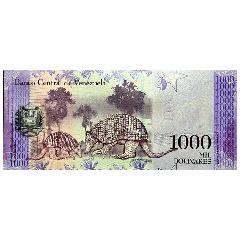 اسکناس 1000 بولیوار ونزوئلا 2017 — تصویر ۲