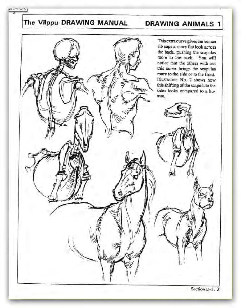 کتاب The Vilppu Drawing Manual (راهنمای طراحی ویلپو) نسخه انگلیسی PDF | Glenn Vilppu (گلن ویلپو)