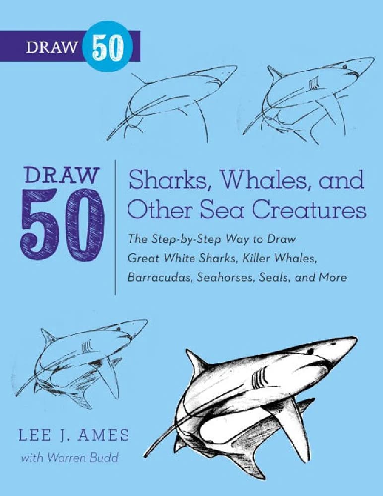 کتاب Draw 50 Sharks Whales and Other Sea Creatures – ۵۰ طرح از کوسهها، نهنگها و دیگر موجودات دریایی | Lee J. Ames و Warren Budd | PDF | نسخه انگلیسی