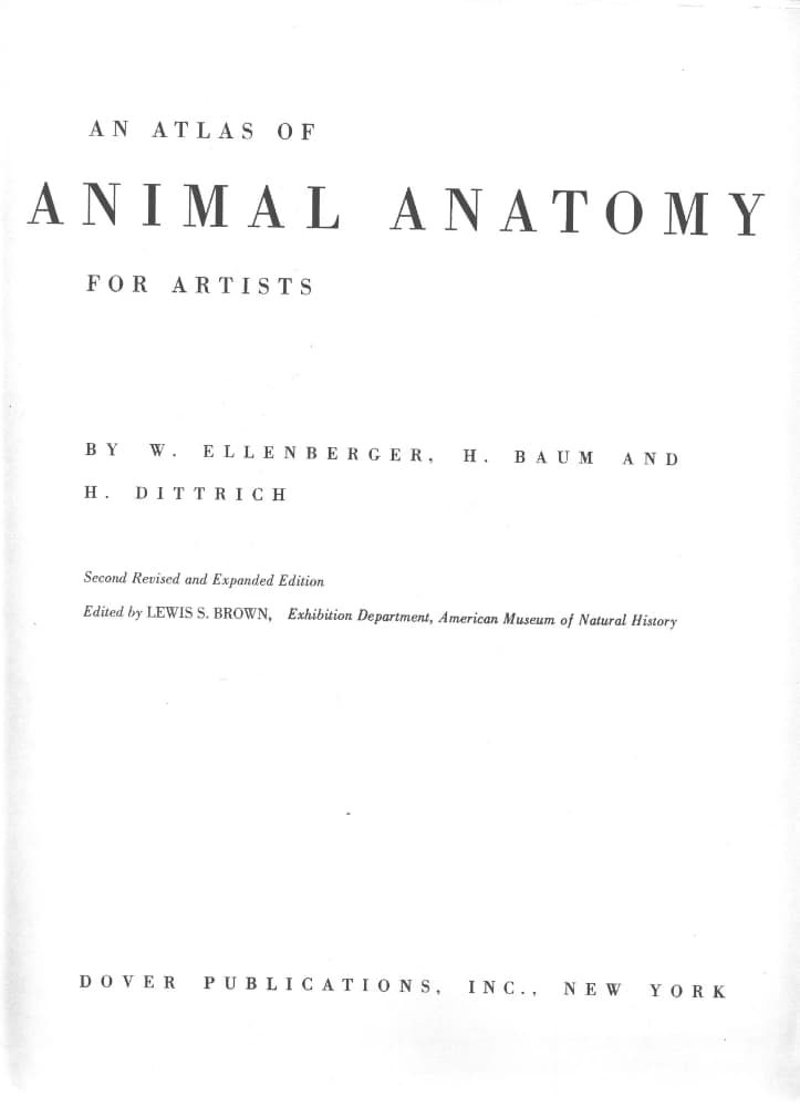 کتاب An Atlas of Animal Anatomy for Artists اطلس آناتومی حیوانات برای هنرمندان | W. Ellenberger، H. Baum و H. Dittrich | PDF | نسخه انگلیسی