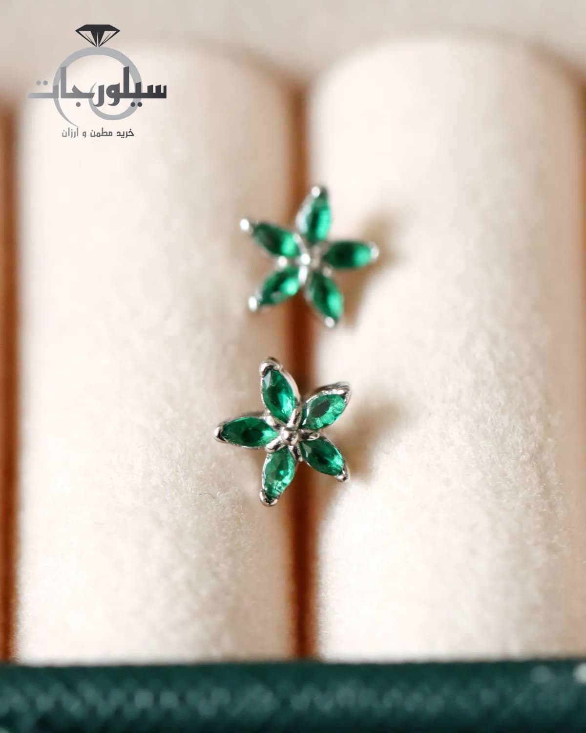 گوشواره نقره میخی کد ER01010 — تصویر ۳