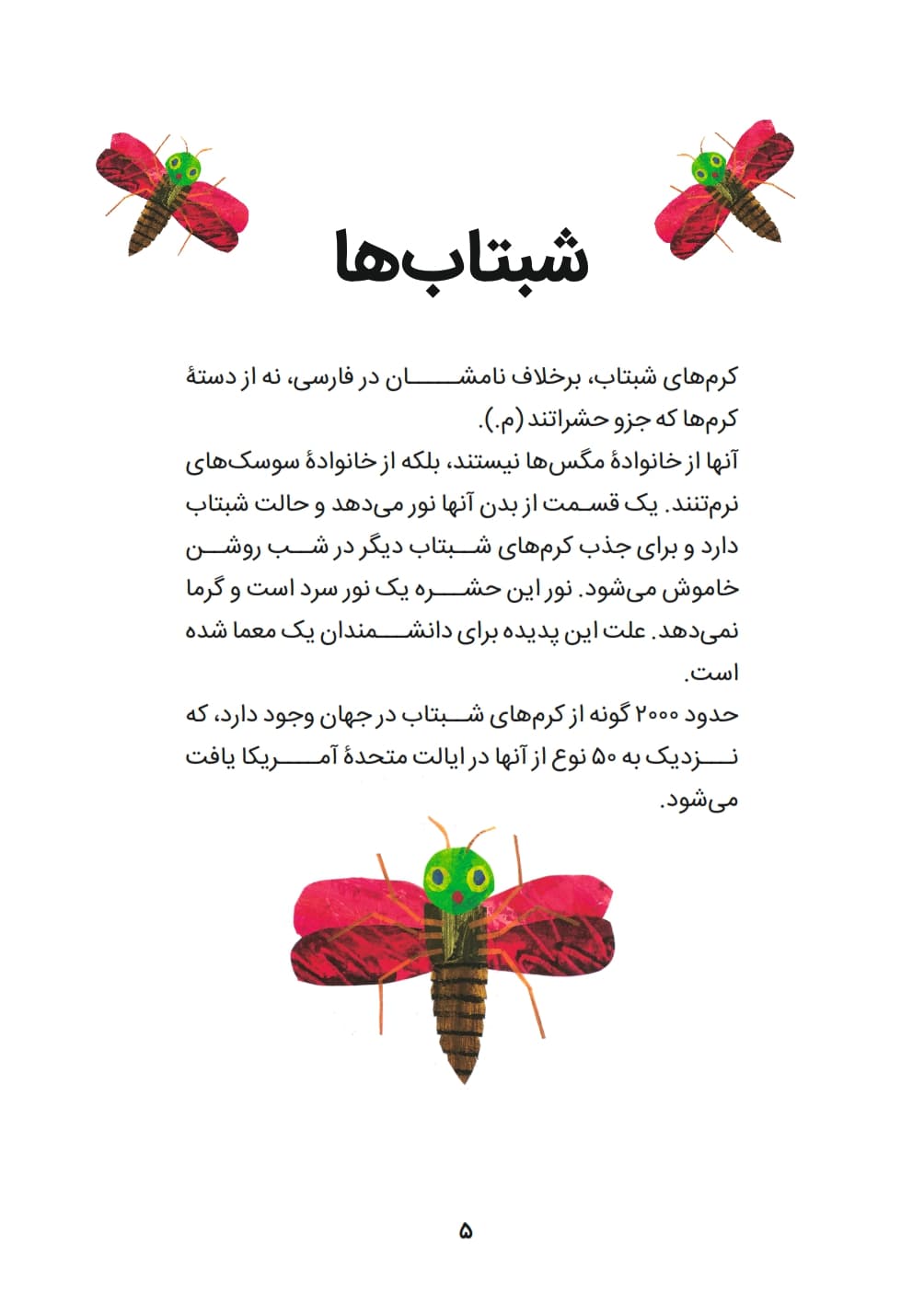 شبتاب خیلی تنها — تصویر ۴