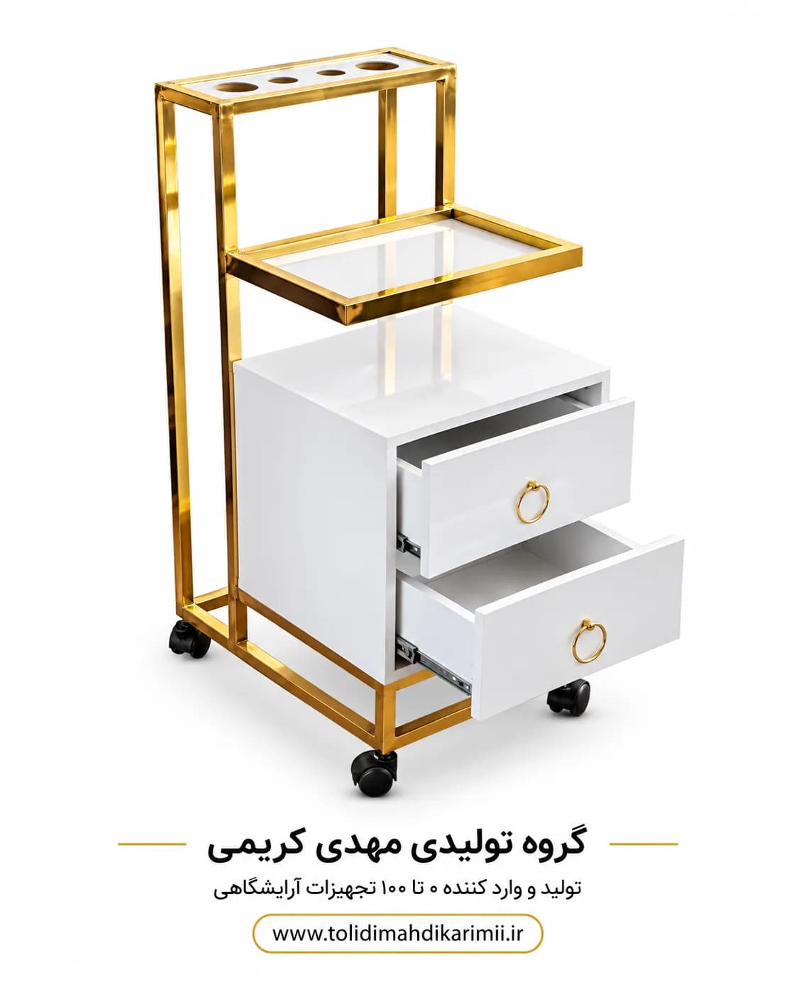 ترولی آرایشگاهی دو کشو جا سشوار دار 3021 — تصویر ۲