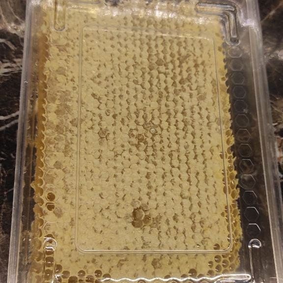 عسل شان (عسل با موم) | Honeycomb — تصویر ۳