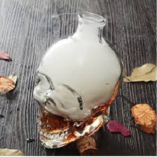 بطری شیشه ای آریانا مدل جمجمه اسکلت شفاف — تصویر ۲