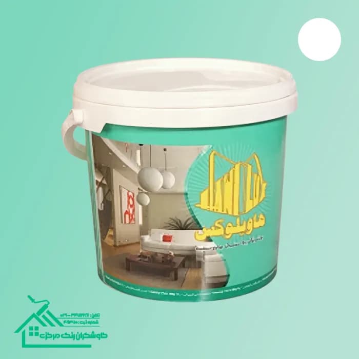 رنگ تمام پلاستیک هاویلوکس گالن 4 کیلویی