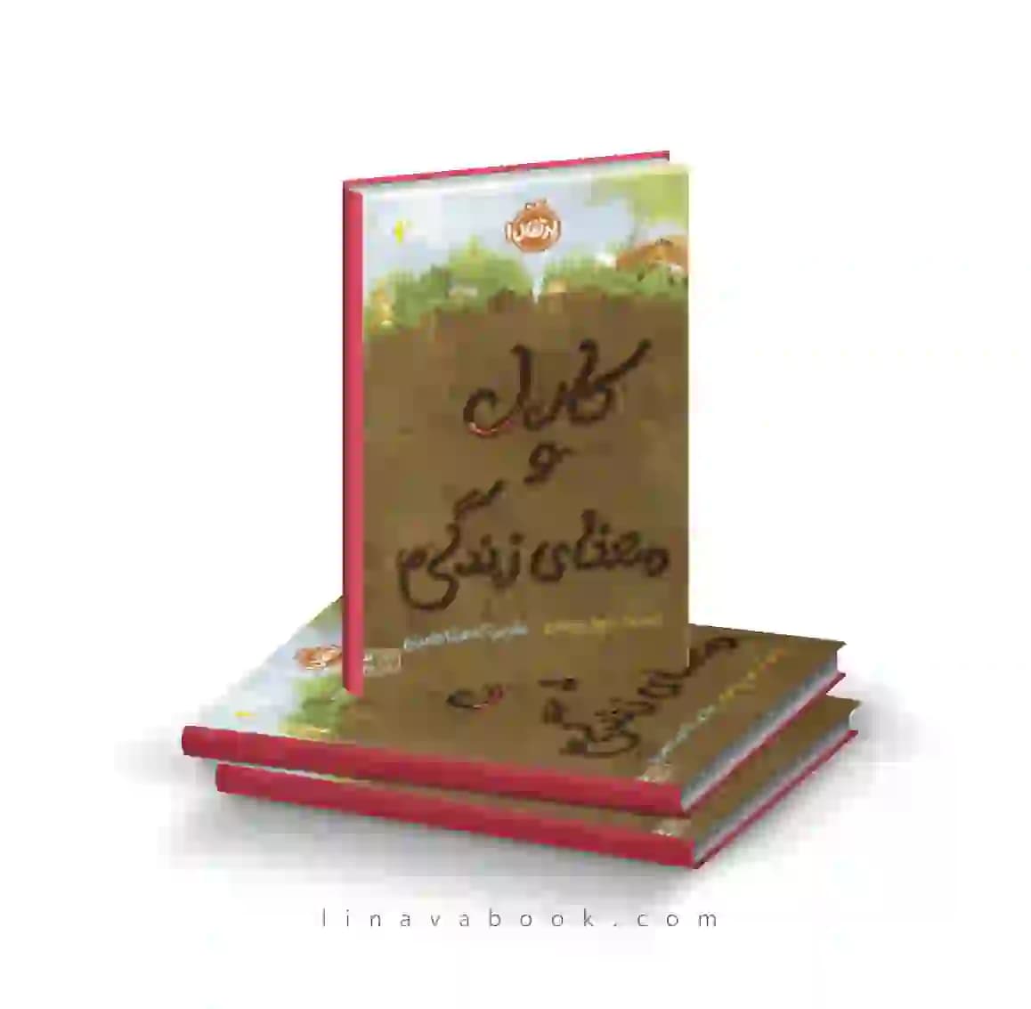کتاب کارل و معنای زندگی نشر پرتقال