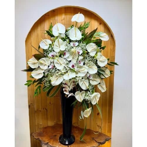 گل فروشی اطراف شرکت دیده گستر محله سید خندان تهران t7646