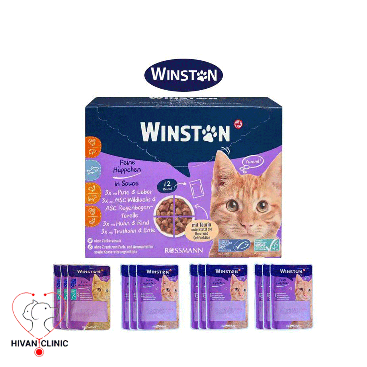 پوچ وینستون گربه 100گرم (Cat Food WINSTON)