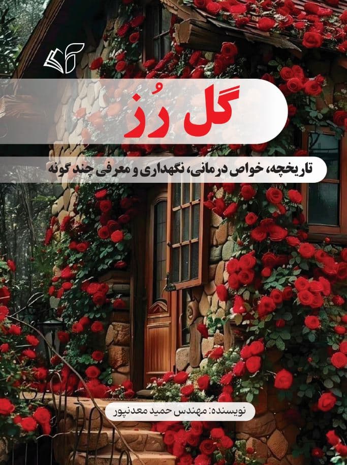 گل رز