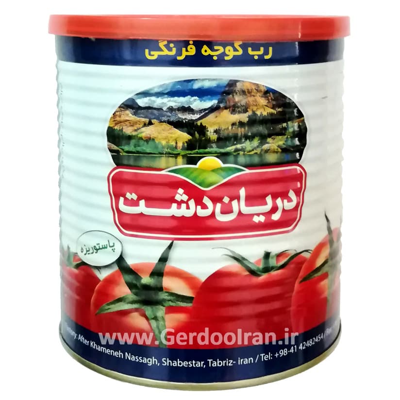 رب گوجه فرنگی دریان دشت 800 گرم