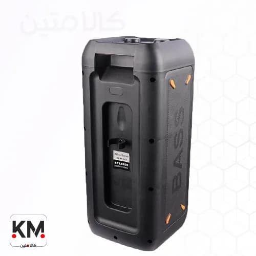 اسپیکر بلوتوثی قابل حمل رویال ساند RS-D31 — تصویر ۲