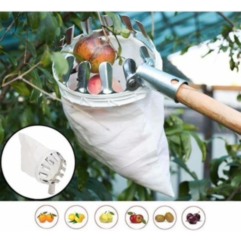 سرشاخه‌ چین میوه حرفه‌ای Eltu ساخت تایوان | ابزار برداشت میوه با کیفیت عالی (میوه چین حرفه ای) — تصویر ۲